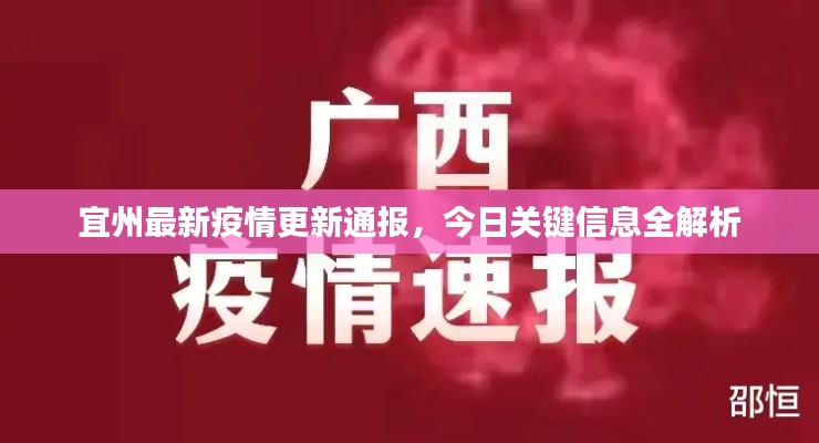 宜州最新疫情更新通报，今日关键信息全解析