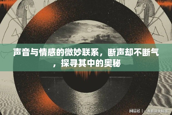 声音与情感的微妙联系,断声却不断气,探寻其中的奥秘