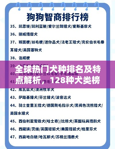 全球热门犬种排名及特点解析,128种犬类榜单揭秘
