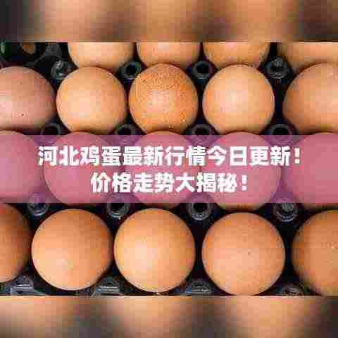 河北鸡蛋最新行情今日更新!价格走势大揭秘!