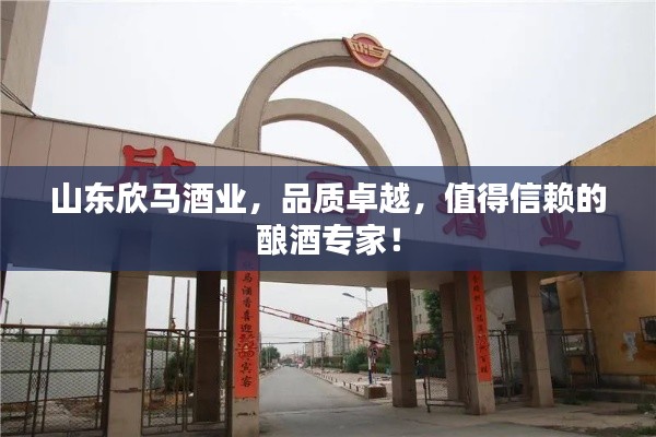 山东欣马酒业，品质卓越，值得信赖的酿酒专家！