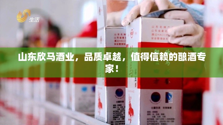 山东欣马酒业,品质卓越,值得信赖的酿酒专家!