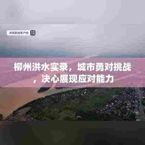 柳州洪水实录,城市勇对挑战,决心展现应对能力