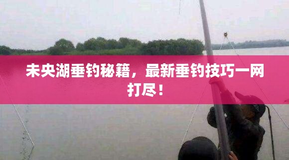 未央湖垂钓秘籍,最新垂钓技巧一网打尽!