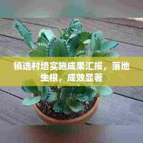 镇选村培实施成果汇报,落地生根,成效显著