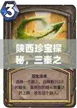 陕西珍宝探秘，三秦之宝百度一览