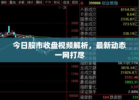 今日股市收盘视频解析,最新动态一网打尽