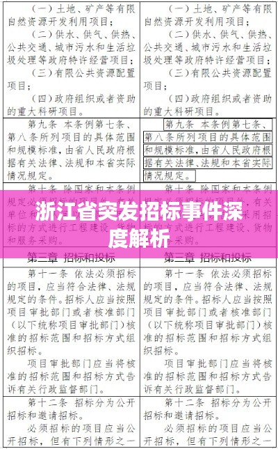 浙江省突发招标事件深度解析