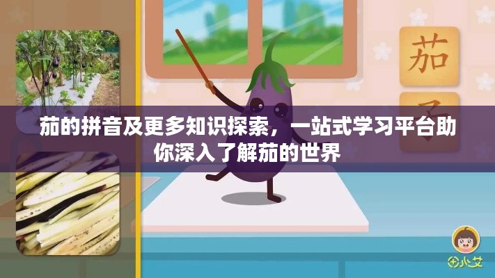 茄的拼音及更多知识探索，一站式学习平台助你深入了解茄的世界