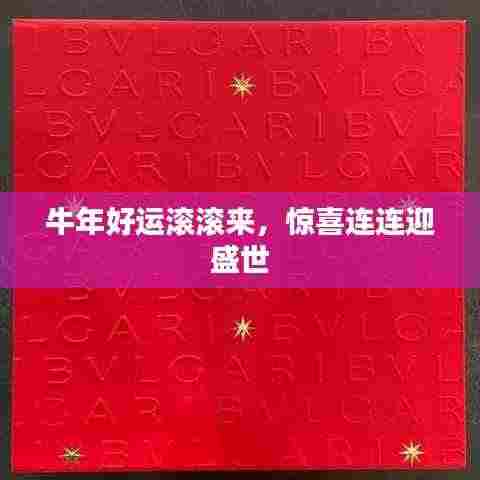 牛年好运滚滚来,惊喜连连迎盛世