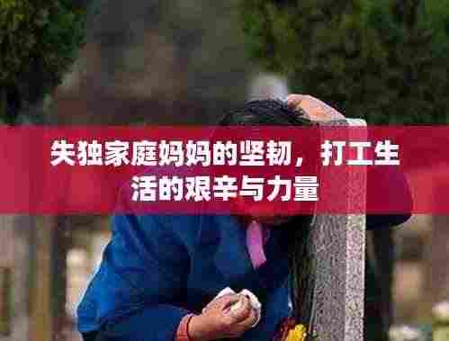 失独家庭妈妈的坚韧,打工生活的艰辛与力量