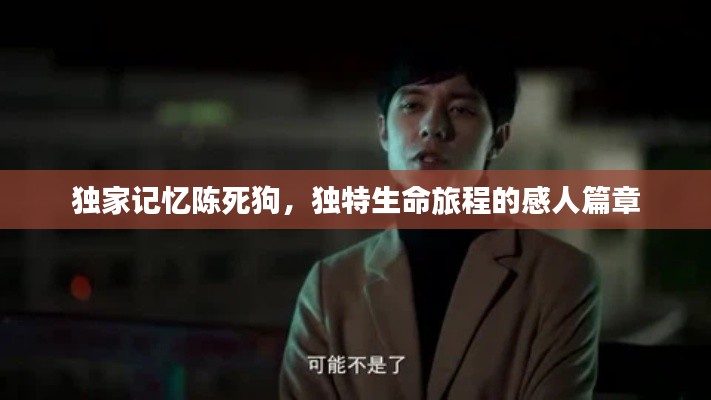 独家记忆陈死狗,独特生命旅程的感人篇章